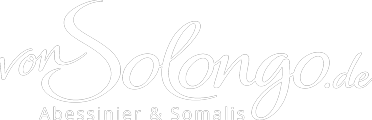 www.von-solongo.de
